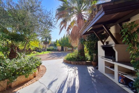 Villa à louer à Algaida, Mallorca, Espagne, 6 chambres, 400 m2 No. 179315 - photo 23