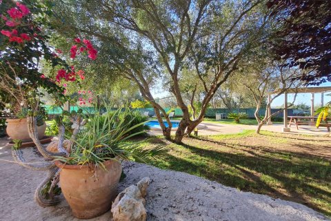 Villa à louer à Algaida, Mallorca, Espagne, 6 chambres, 400 m2 No. 179315 - photo 24