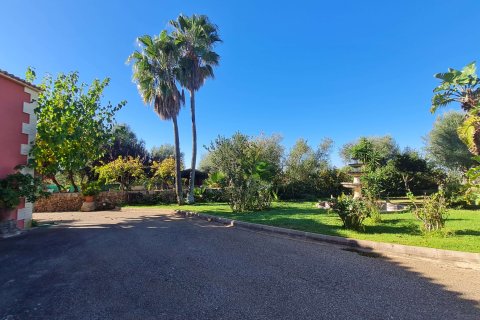 Villa à louer à Algaida, Mallorca, Espagne, 6 chambres, 400 m2 No. 179315 - photo 29