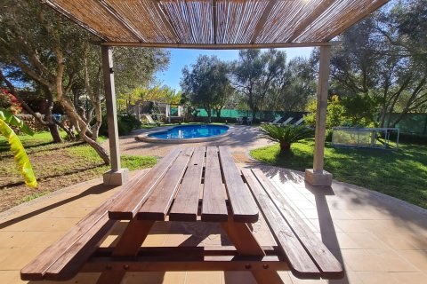 Villa à louer à Algaida, Mallorca, Espagne, 6 chambres, 400 m2 No. 179315 - photo 26