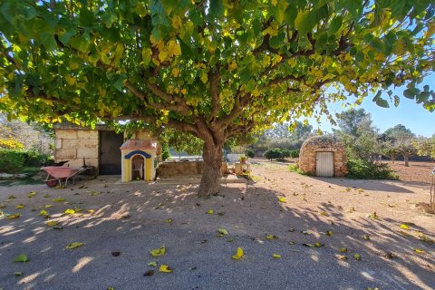 Villa à louer à Algaida, Mallorca, Espagne, 6 chambres, 400 m2 No. 179315 - photo 27