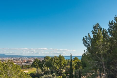 Villa à louer à Son Vida, Mallorca, Espagne, 7 chambres, 826 m2 No. 179320 - photo 21