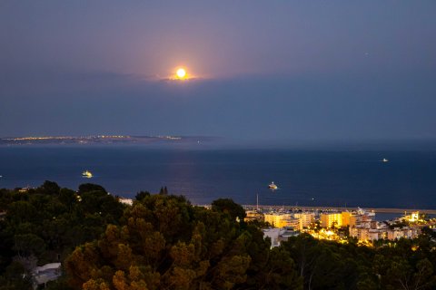 Huvila myytävänä Costa D'en Blanes, Mallorca, Espanja, 5 makuuhuonetta, 594 m2 No. 179316 - kuva 30