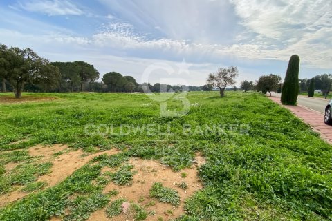 Parcela en venta en Peralada, Gerona, España 2929 m2 No. 159422 - foto 6