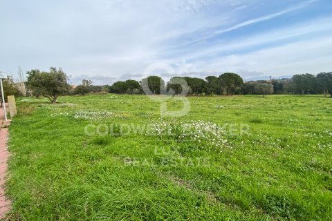 Parcela en venta en Peralada, Gerona, España 2929 m2 No. 159422 - foto 2