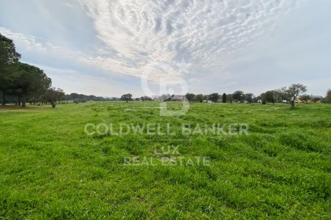 Parcela en venta en Peralada, Gerona, España 2929 m2 No. 159422 - foto 3