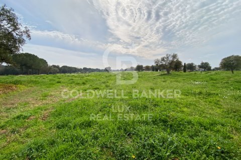 Land plot for sale in Peralada, Girona, Spain 2929 sq.m. No. 159422 - photo 5