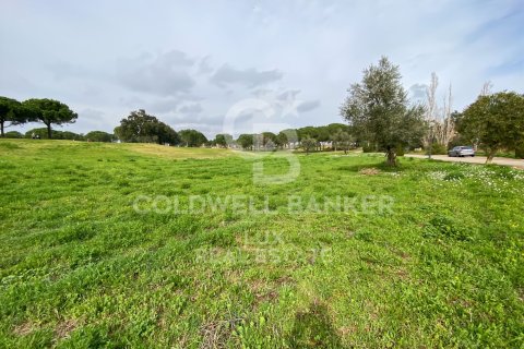 Land zum Verkauf in Peralada, Girona, Spanien 3226 m2 Nr. 159423 - Foto 7