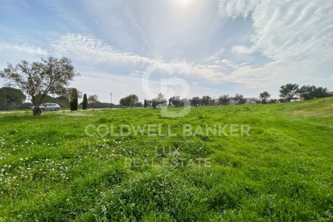 Land plot for sale in Peralada, Girona, Spain 3226 sq.m. No. 159423 - photo 6