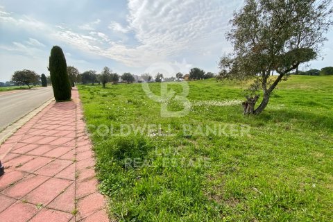 Land zum Verkauf in Peralada, Girona, Spanien 3226 m2 Nr. 159423 - Foto 8