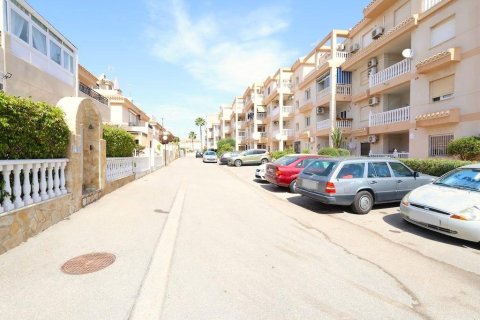 Huoneisto myytävänä Playa Flamenca II, Alicante, Espanja, 2 makuuhuonetta, 75 m2 No. 182997 - kuva 23