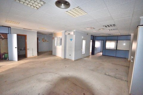 Dzīvoklis pārdošanā Torrevieja, Alicante, Spānijā 7 istabas, 200 m2 Nr. 115402 - attēls 5