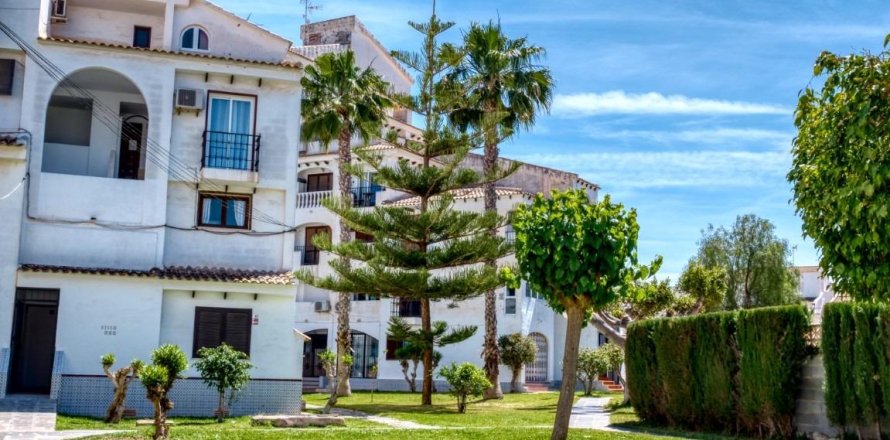 Duplex in Torrevieja, Alicante, Spain 1 bedroom, 44 sq.m. No. 184280