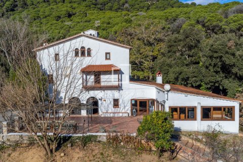 Finca myytävänä Mataro, Barcelona, Espanja, 13 makuuhuonetta, 651 m2 No. 192705 - kuva 3