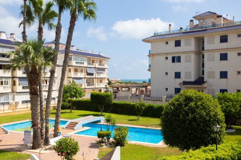Appartamento in vendita a La Mata, Alicante, Spagna 2 camere da letto, 65 mq. N° 194910 - foto 22