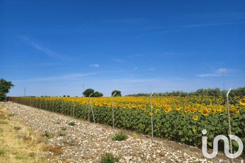 Продажа коммерческой недвижимости в Экия, Севилья, Испания №153365 - фото 7