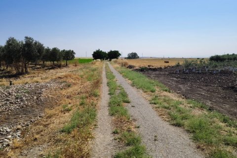 Продажа коммерческой недвижимости в Экия, Севилья, Испания №153365 - фото 5