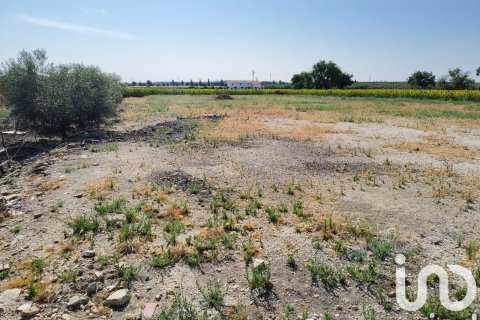 Продажа коммерческой недвижимости в Экия, Севилья, Испания №153365 - фото 15