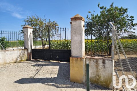 Komerciāls īpašums Ecija, Seville, Spānijā Nr. 153365