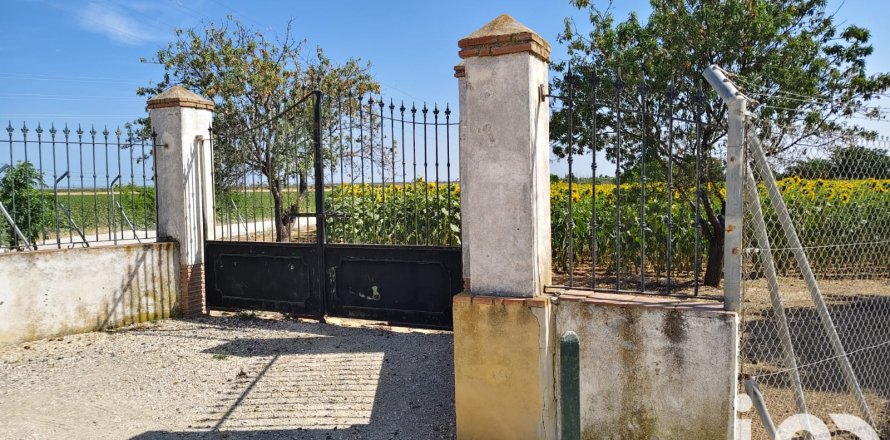 Коммерческая недвижимость в Экия, Севилья, Испания №153365