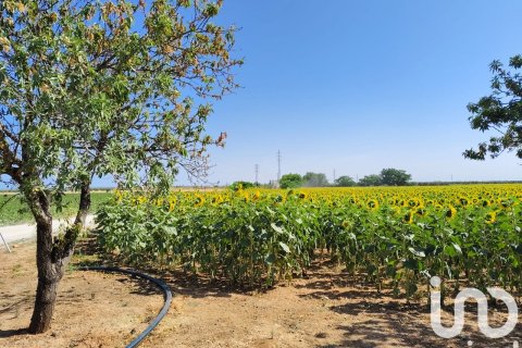 Продажа коммерческой недвижимости в Экия, Севилья, Испания №153365 - фото 8