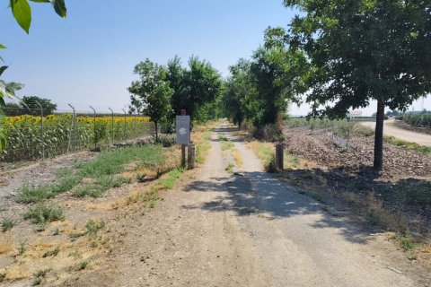 Продажа коммерческой недвижимости в Экия, Севилья, Испания №153365 - фото 2