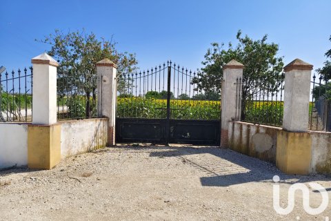 Продажа коммерческой недвижимости в Экия, Севилья, Испания №153365 - фото 12