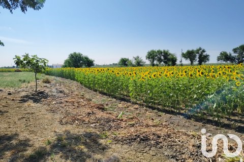 Продажа коммерческой недвижимости в Экия, Севилья, Испания №153365 - фото 18