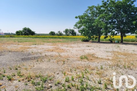 Продажа коммерческой недвижимости в Экия, Севилья, Испания №153365 - фото 14