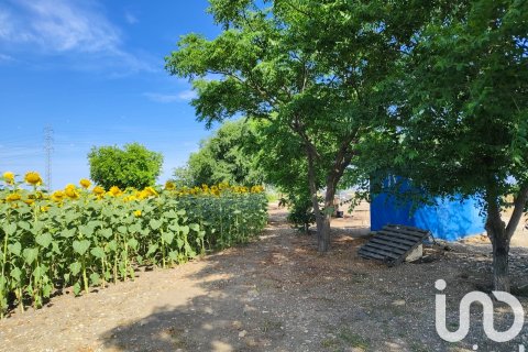 Продажа коммерческой недвижимости в Экия, Севилья, Испания №153365 - фото 13