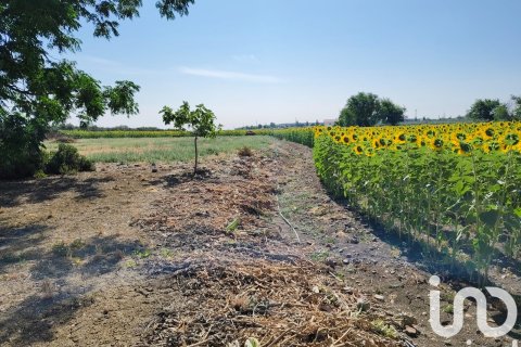 Продажа коммерческой недвижимости в Экия, Севилья, Испания №153365 - фото 16