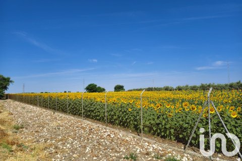 Продажа коммерческой недвижимости в Экия, Севилья, Испания №153365 - фото 11