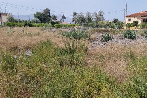 Продажа дома в Кревилент, Аликанте, Испания 3 спальни, 3600м2 №153366 - фото 22