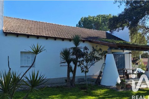 House in Beas, Huelva, Spanien 3 Schlafzimmer, 208 m2 Nr. 173100