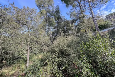 Tontti myytävänä L'Ametlla Del Valles, Barcelona, Espanja ,  No. 186427 - kuva 18