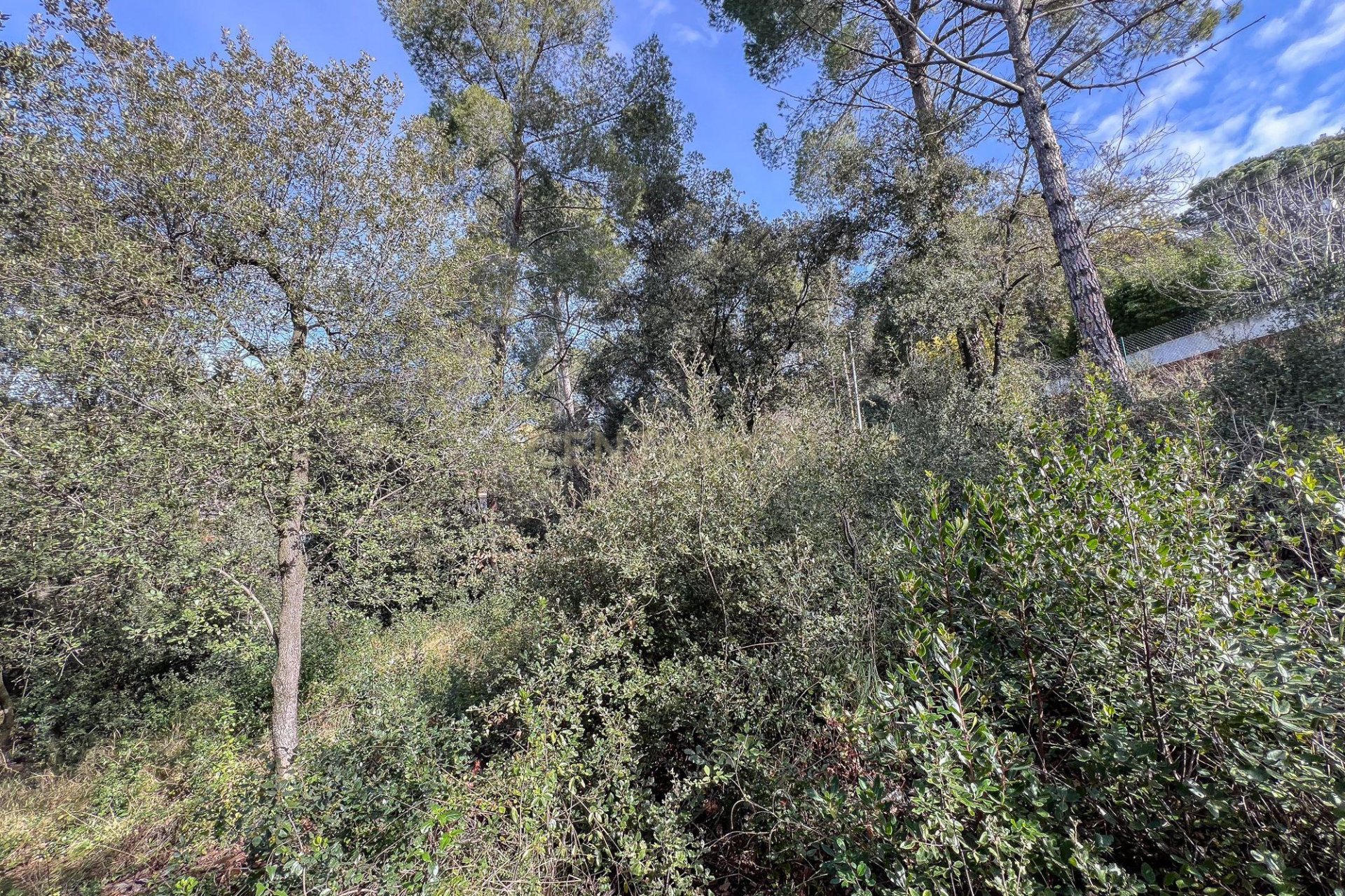 Land plot à L'Ametlla Del Valles, Barcelona, Espagne No. 186427