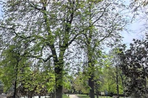 Apartment à vendre à Madrid, Espagne, 4 chambres, 97 m2 No. 152334 - photo 23