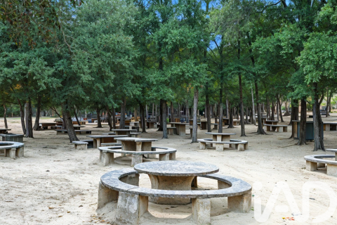 Продажа земельного участка в Аренис де Мунт, Барселона, Испания 87615м2 №152329 - фото 2