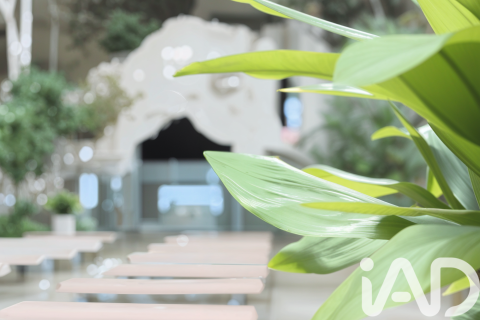 Продажа земельного участка в Аренис де Мунт, Барселона, Испания 87615м2 №152329 - фото 7