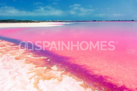 Villa in vendita a Torrevieja, Alicante, Spagna 3 camere da letto, 124 mq. N° 146813 - foto 7