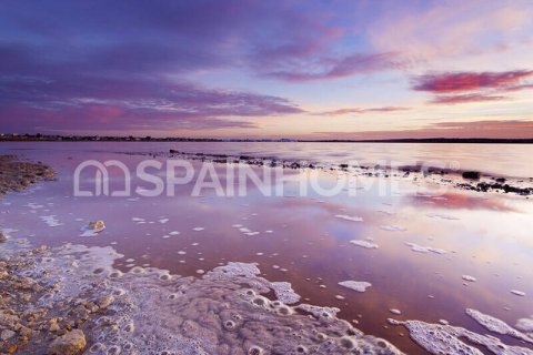 Huvila myytävänä Torrevieja, Alicante, Espanja, 3 makuuhuonetta, 124 m2 No. 146813 - kuva 9