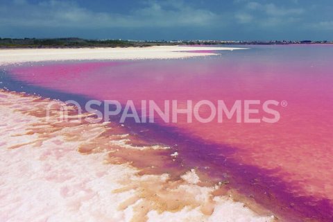 Huvila myytävänä Torrevieja, Alicante, Espanja, 3 makuuhuonetta, 124 m2 No. 146813 - kuva 8