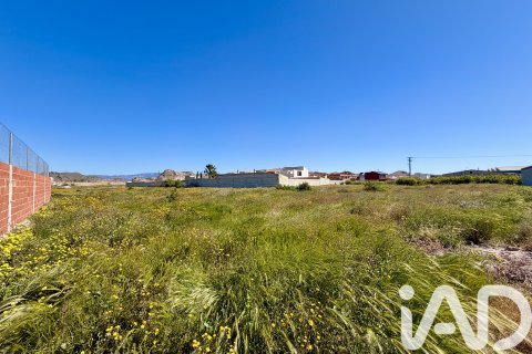 Land plot for sale in Archena, Murcia, Spain 1081 sq.m. No. 184840 - photo 3