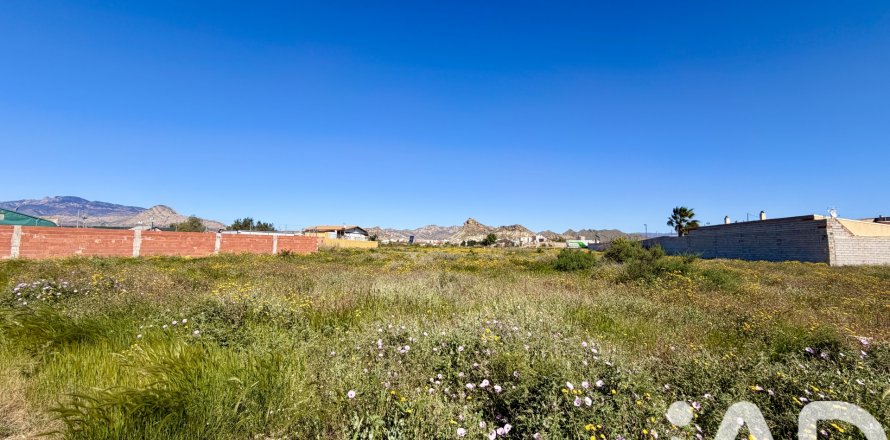 Land plot in Archena, Murcia, Spain 1081 sq.m. No. 184840