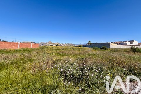 Land plot for sale in Archena, Murcia, Spain 1081 sq.m. No. 184840 - photo 2