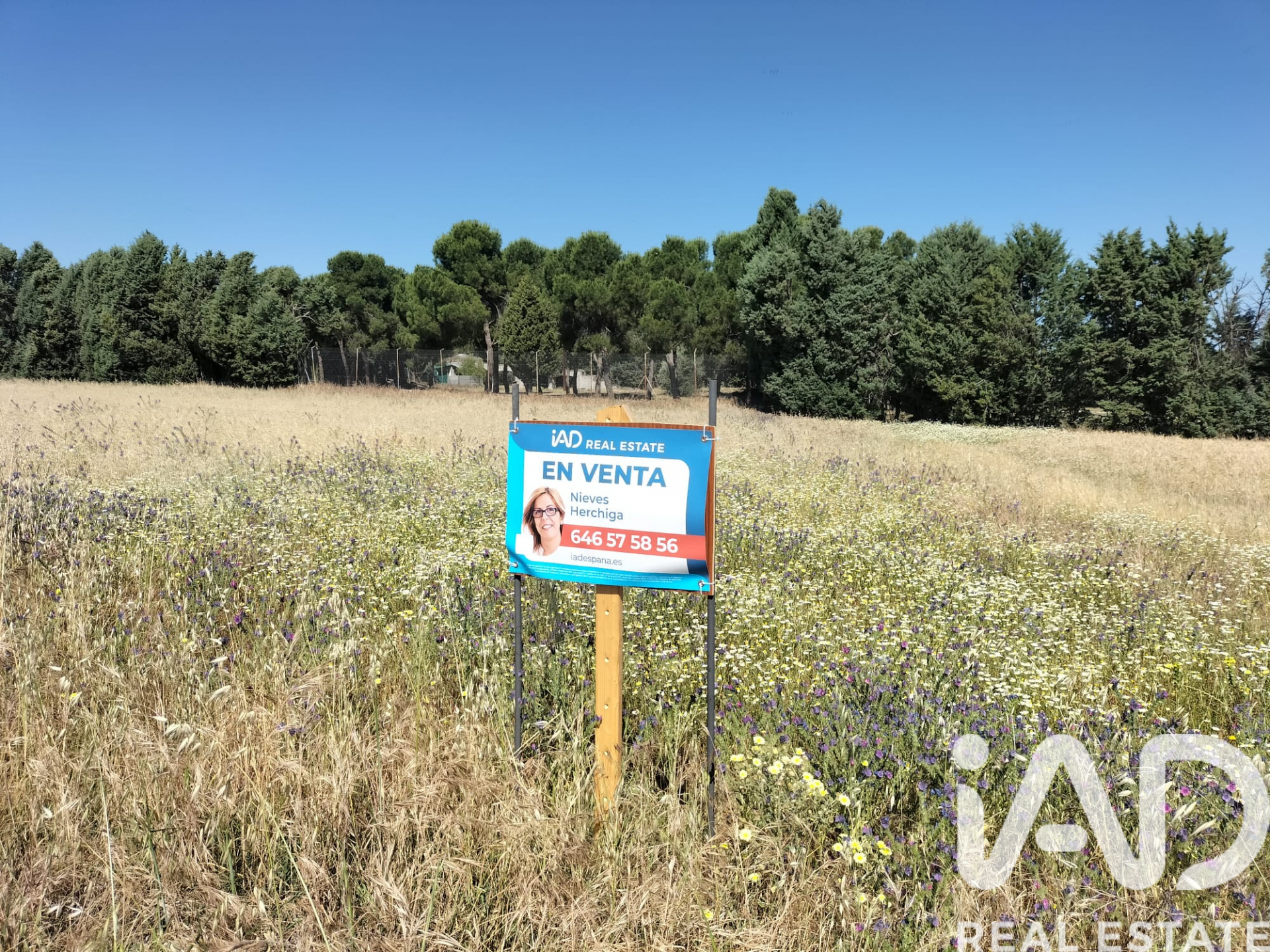 Land plot à Cubas de la Sagra, Madrid, Espagne 5941 m2 No. 184845