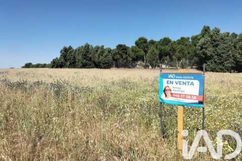 Tontti Cubas de la Sagra, Madrid, Espanja 5941 m2 No. 184845