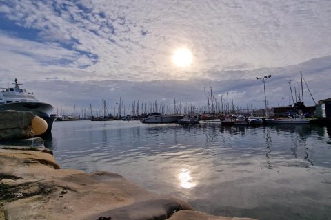 Wohnung zum Verkauf in Torrevieja, Alicante, Spanien 2 Schlafzimmer, Nr. 184401 - Foto 29