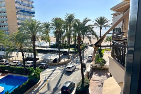 Продажа квартиры в Бенидорм, Аликанте, Испания 1 спальня, 50м2 №155307 - фото 13