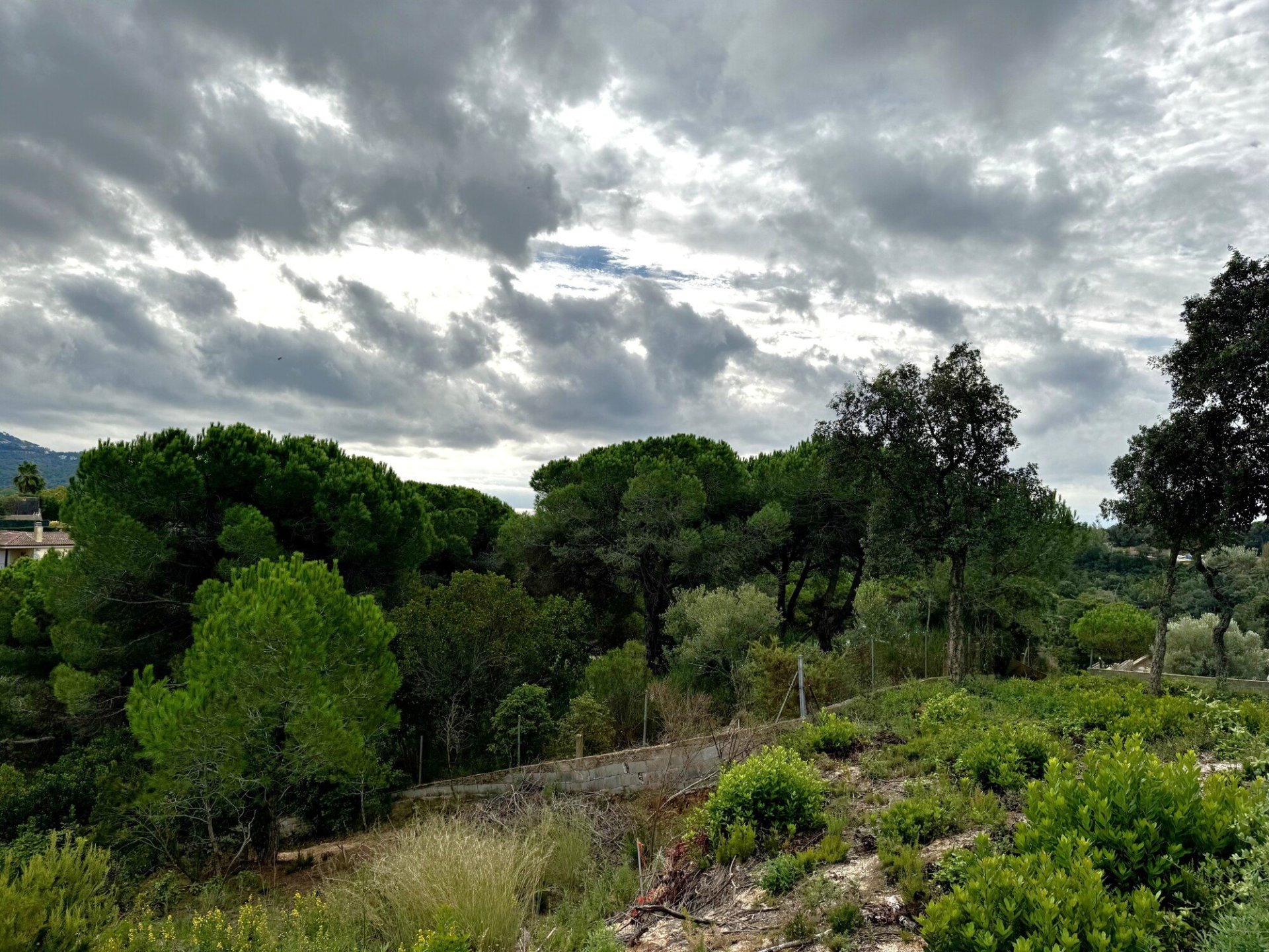 Land in Lloret de Mar, Girona, Spanien 2259 m2 Nr. 143100